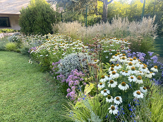 Más biodiversidad en el jardín (2ª parte): la selección de las plantas y el mantenimiento